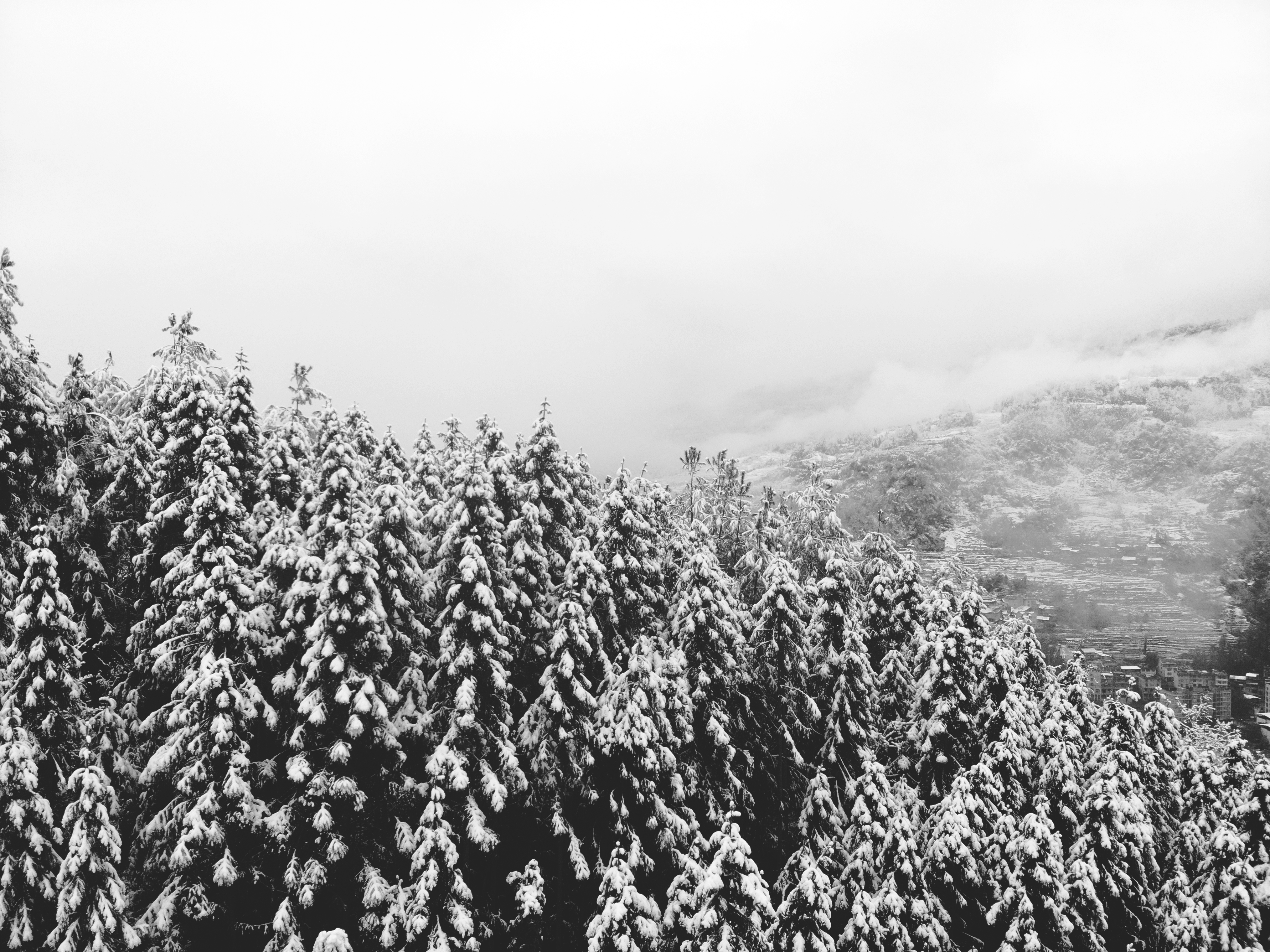 一张雪景